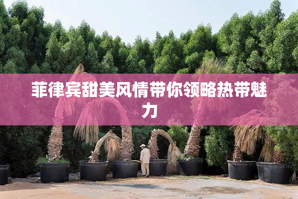 菲律宾甜美风情带你领略热带魅力