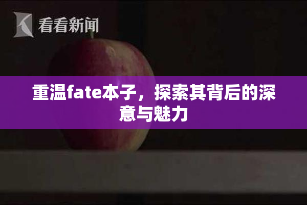 重温fate本子，探索其背后的深意与魅力