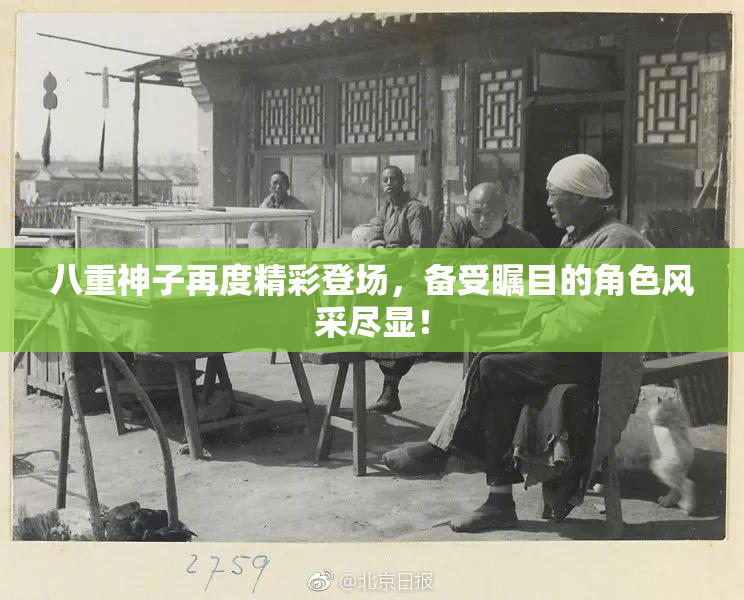 八重神子再度精彩登场，备受瞩目的角色风采尽显！