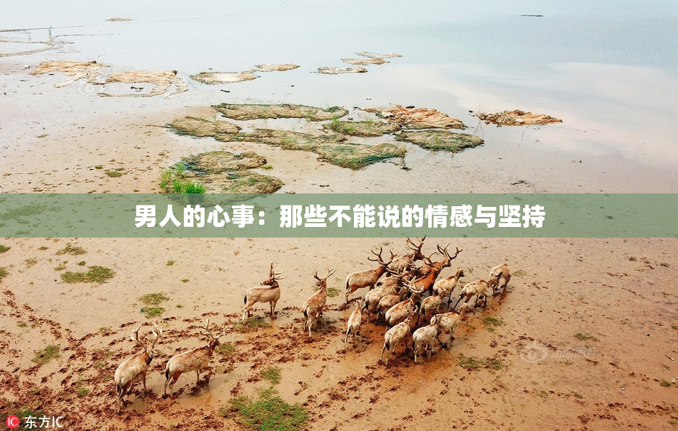 男人的心事：那些不能说的情感与坚持