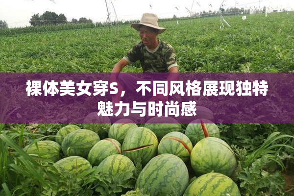 裸体美女穿S，不同风格展现独特魅力与时尚感