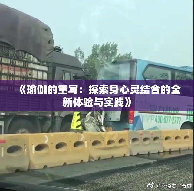 《瑜伽的重写：探索身心灵结合的全新体验与实践》