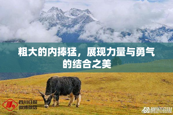 粗大的内捧猛，展现力量与勇气的结合之美
