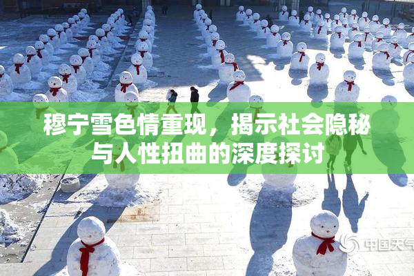 穆宁雪色情重现，揭示社会隐秘与人性扭曲的深度探讨
