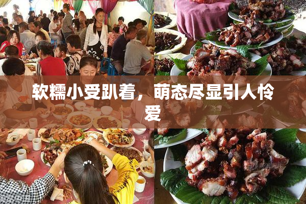 软糯小受趴着，萌态尽显引人怜爱
