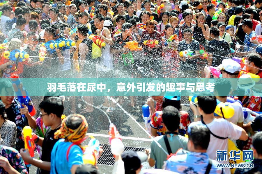 羽毛落在尿中，意外引发的趣事与思考