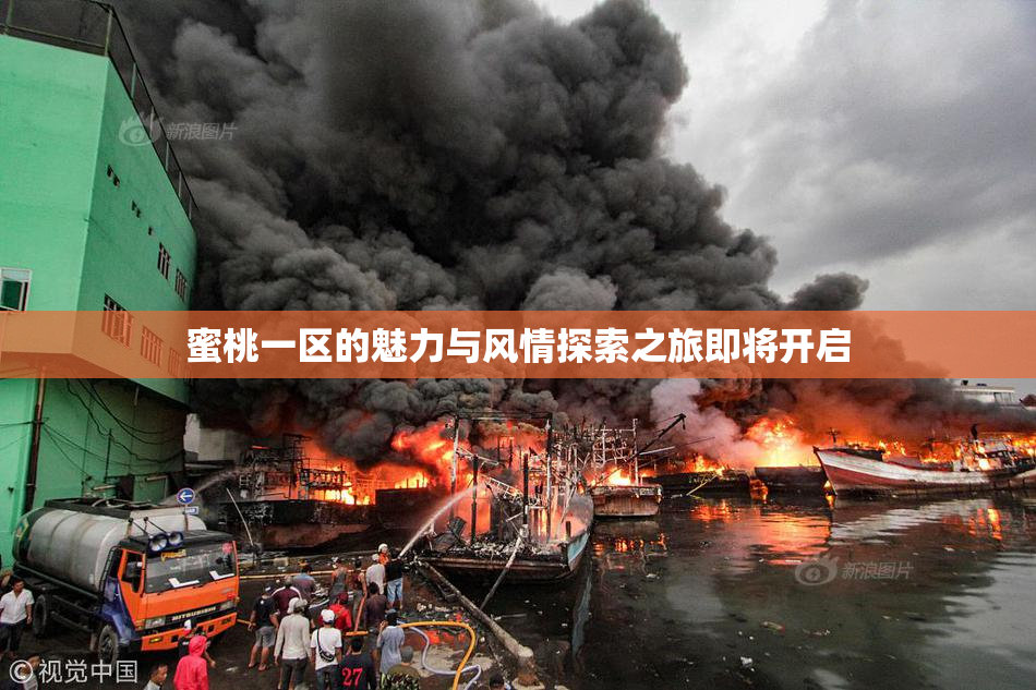 蜜桃一区的魅力与风情探索之旅即将开启