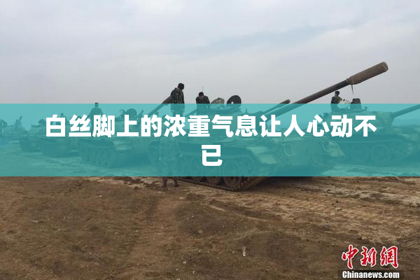 白丝脚上的浓重气息让人心动不已