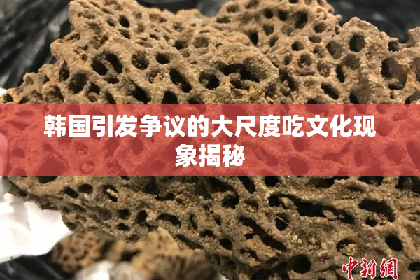 韩国引发争议的大尺度吃文化现象揭秘