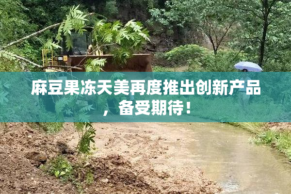麻豆果冻天美再度推出创新产品，备受期待！