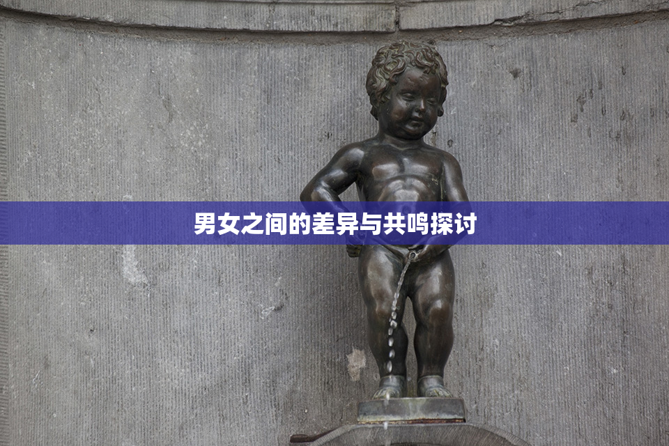 男女之间的差异与共鸣探讨