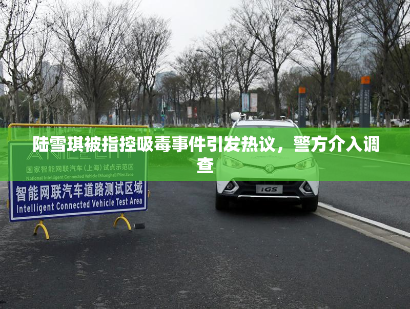 陆雪琪被指控吸毒事件引发热议，警方介入调查