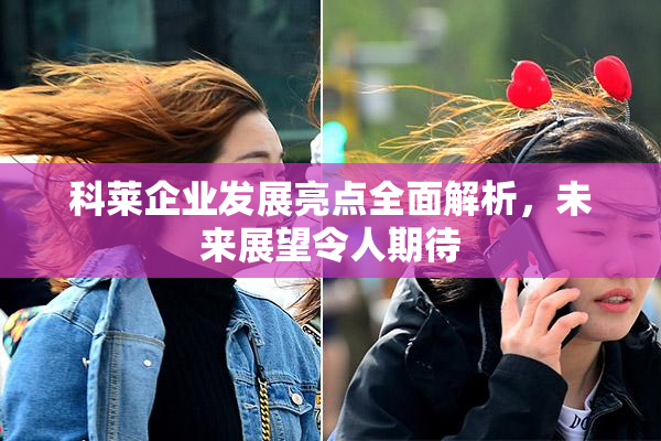 科莱企业发展亮点全面解析，未来展望令人期待