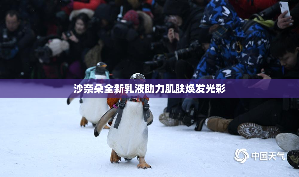 沙奈朵全新乳液助力肌肤焕发光彩