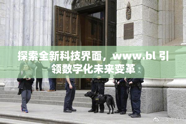 探索全新科技界面，www.bl 引领数字化未来变革