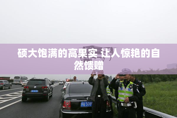 硕大饱满的高果实 让人惊艳的自然馈赠