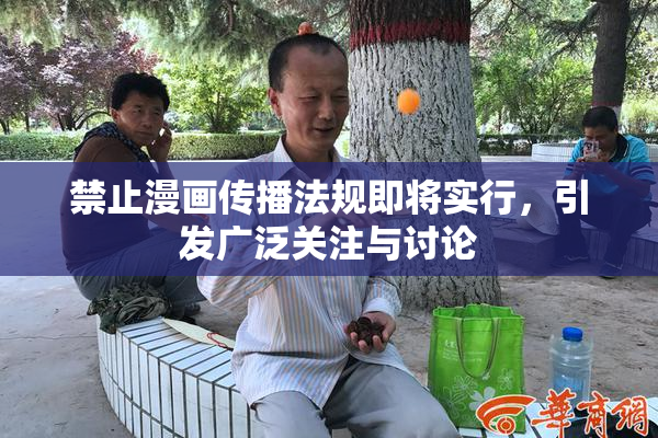 禁止漫画传播法规即将实行，引发广泛关注与讨论