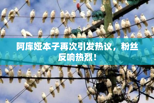 阿库娅本子再次引发热议，粉丝反响热烈！