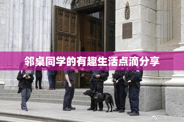 邻桌同学的有趣生活点滴分享
