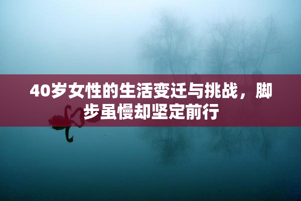 40岁女性的生活变迁与挑战，脚步虽慢却坚定前行