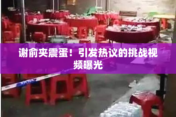 谢俞夹震蛋！引发热议的挑战视频曝光