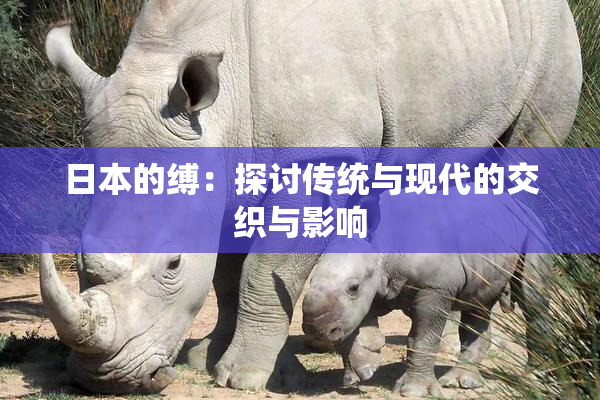日本的缚：探讨传统与现代的交织与影响
