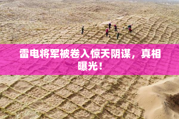 雷电将军被卷入惊天阴谋，真相曝光！