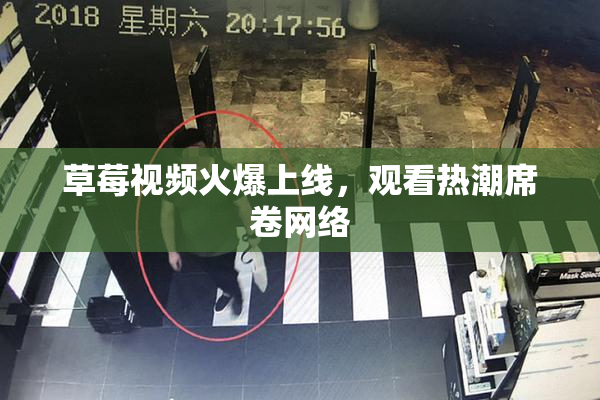 草莓视频火爆上线，观看热潮席卷网络