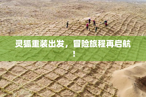 灵狐重装出发，冒险旅程再启航！