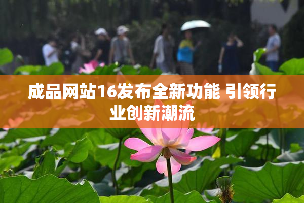 成品网站16发布全新功能 引领行业创新潮流