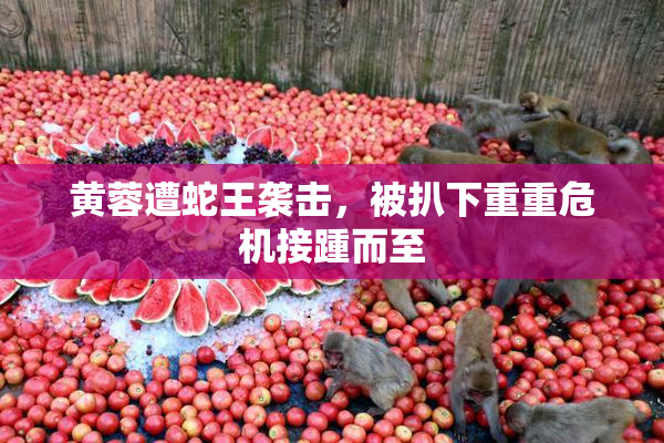黄蓉遭蛇王袭击，被扒下重重危机接踵而至