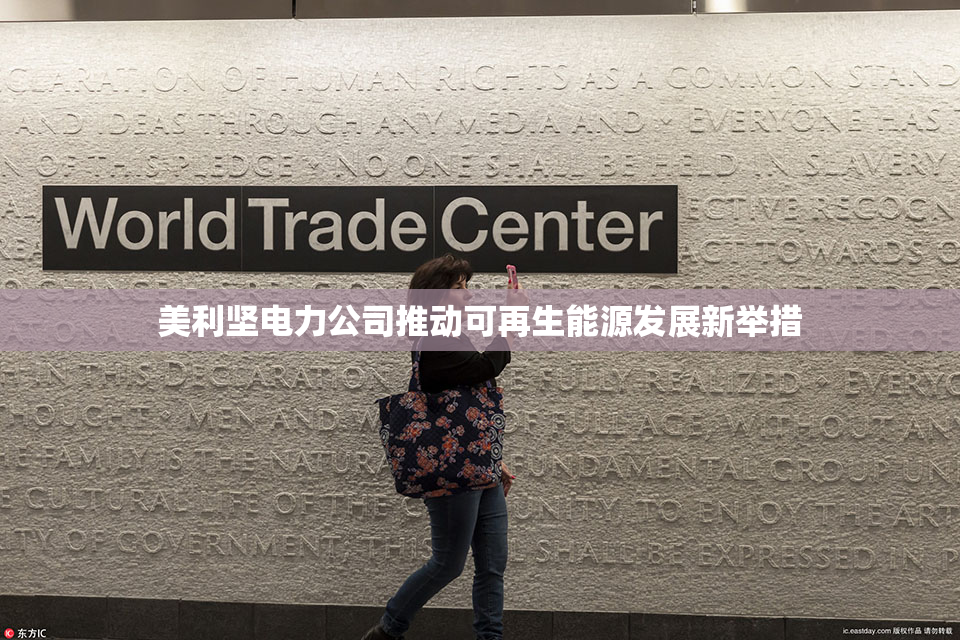 美利坚电力公司推动可再生能源发展新举措
