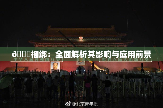 🔞捆绑：全面解析其影响与应用前景