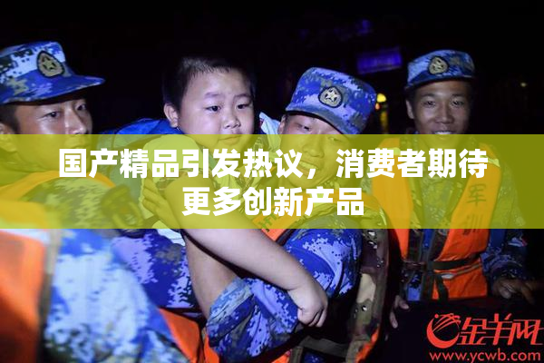国产精品引发热议，消费者期待更多创新产品