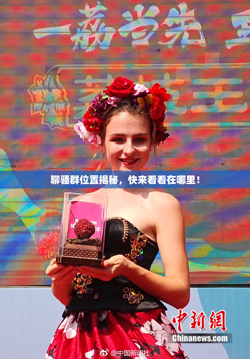 聊骚群位置揭秘，快来看看在哪里！