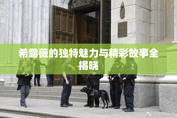 希露薇的独特魅力与精彩故事全揭晓