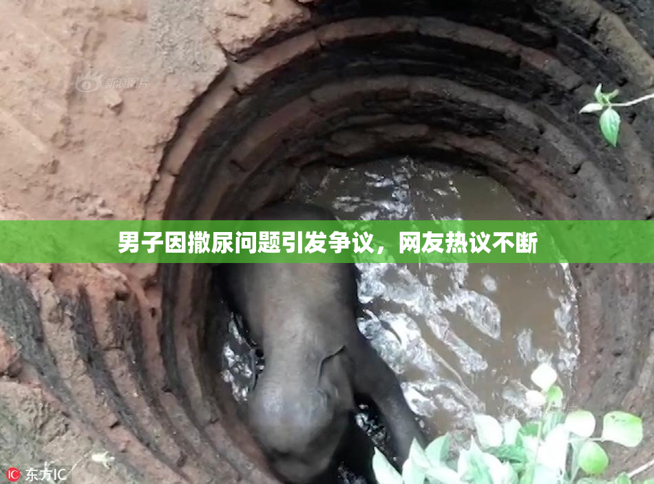 男子因撒尿问题引发争议，网友热议不断
