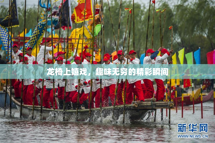 龙椅上嬉戏，趣味无穷的精彩瞬间