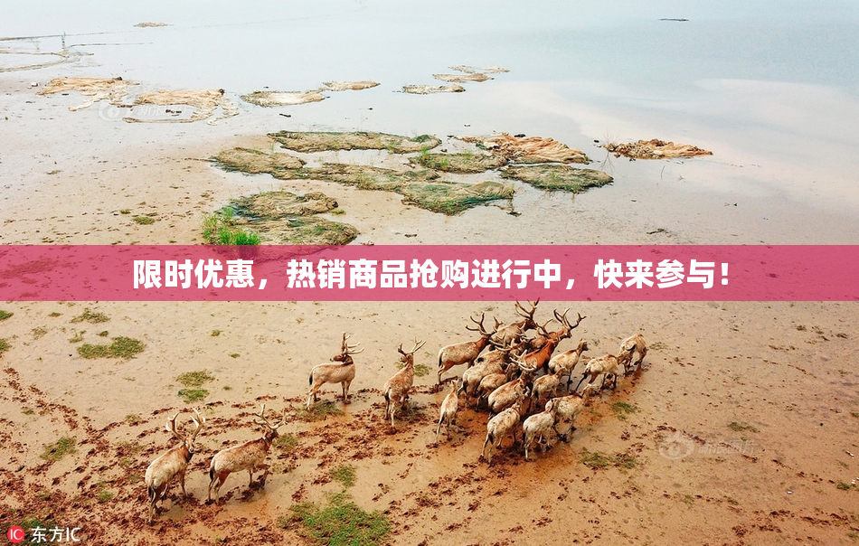 限时优惠，热销商品抢购进行中，快来参与！
