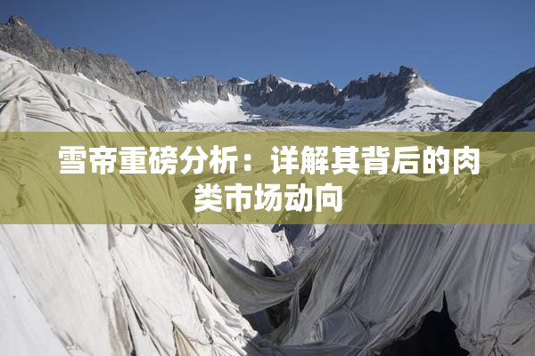 雪帝重磅分析：详解其背后的肉类市场动向