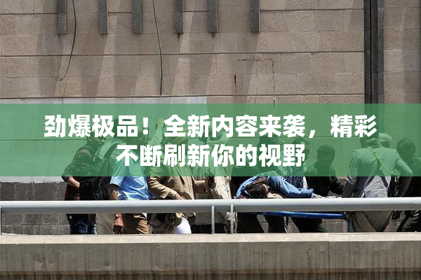 劲爆极品！全新内容来袭，精彩不断刷新你的视野
