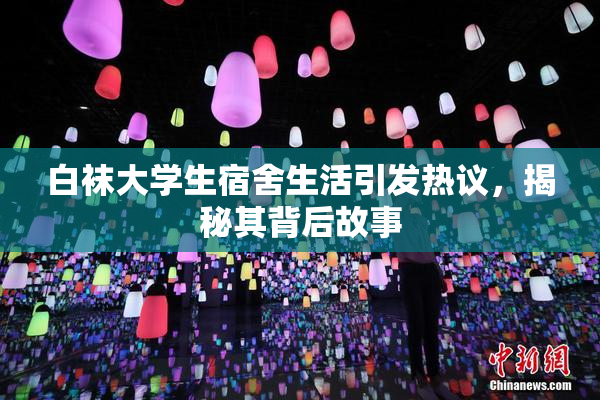 白袜大学生宿舍生活引发热议，揭秘其背后故事