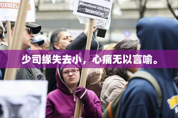 少司缘失去小，心痛无以言喻。