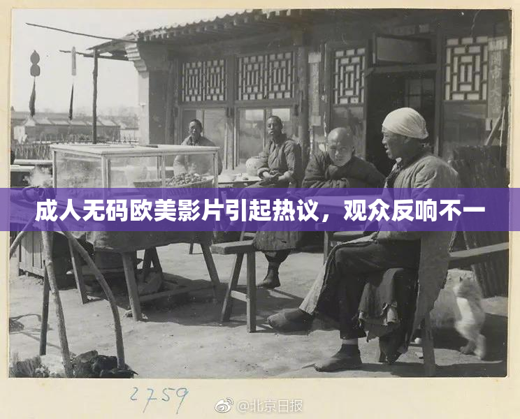 成人无码欧美影片引起热议，观众反响不一