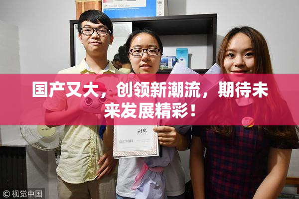 国产又大，创领新潮流，期待未来发展精彩！