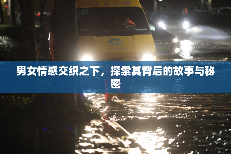 男女情感交织之下，探索其背后的故事与秘密