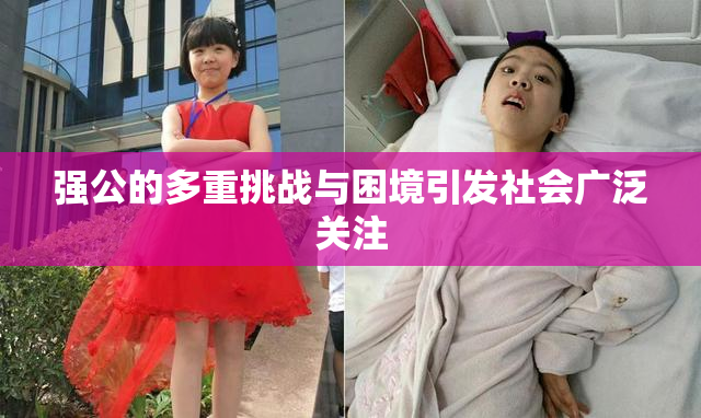 强公的多重挑战与困境引发社会广泛关注