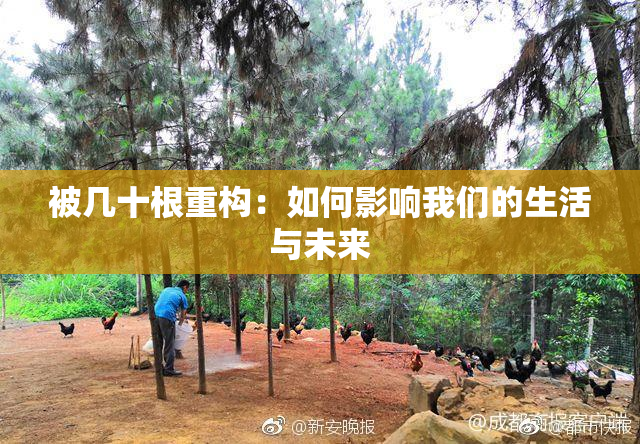 被几十根重构：如何影响我们的生活与未来