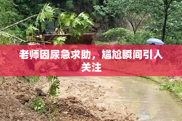 老师因尿急求助，尴尬瞬间引人关注