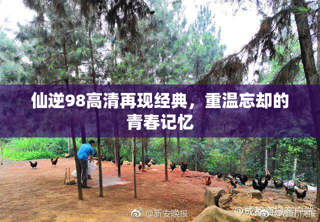 仙逆98高清再现经典，重温忘却的青春记忆